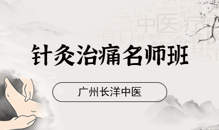 针灸治痛名师班