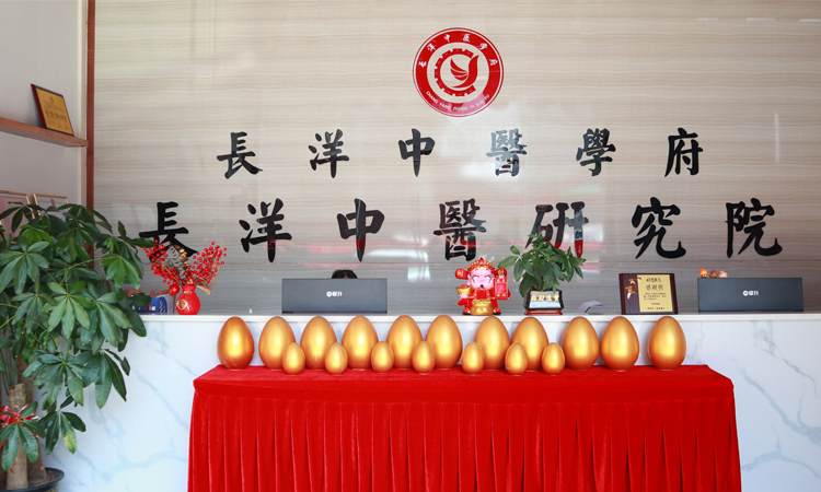 学校概况